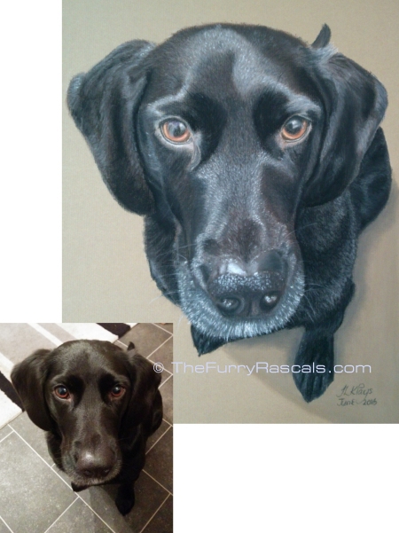 Ebony, Black Lab Mix Dog from Photo to portrait in soft pastels